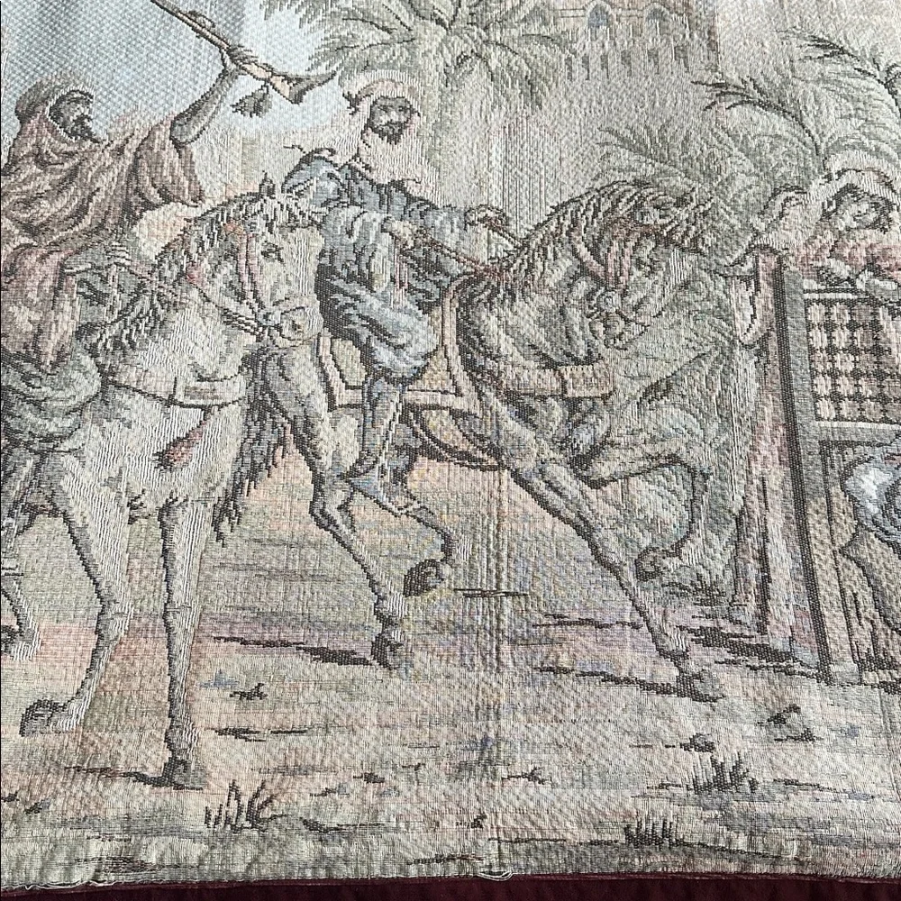 🇹🇷Turkish tapestry from the Grand Bazaar in Istanbul. Old Vintage. Velvet trim